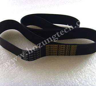 Upper belts transport